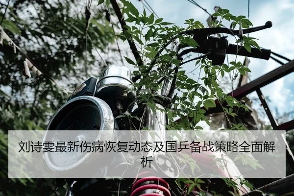 刘诗雯最新伤病恢复动态及国乒备战策略全面解析